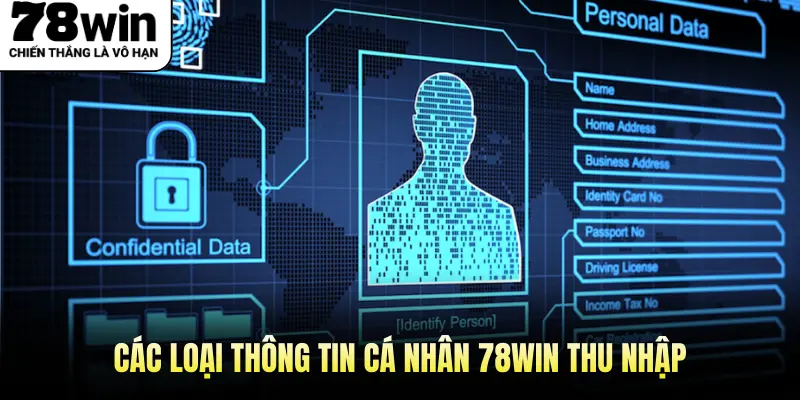 Các Loại Thông Tin Cá Nhân 78win Thu Nhập